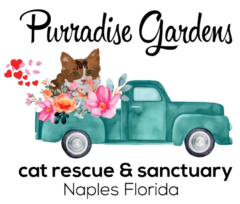 Purradise Gardens, a 501c3 non profit cat rescue